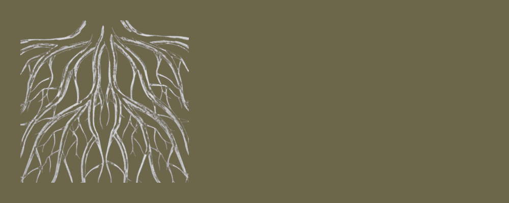 Rooted